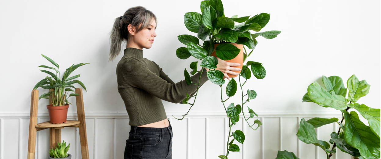 RV4 Desarrollos Inmobiliarios